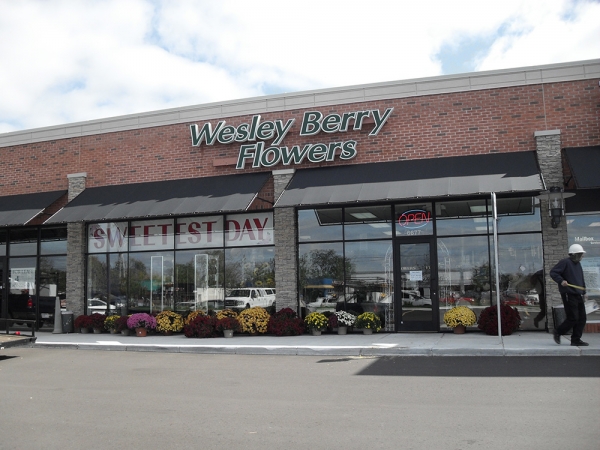 Stationary Awnings Sterling Heights MI - Installation & Service - ROBA - awnings-wesley-berry