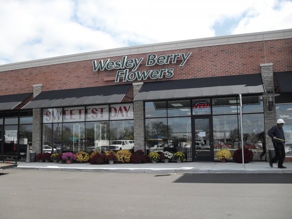 Residential Awnings Clawson MI - Installation & Service - ROBA - awnings-wesley-berry